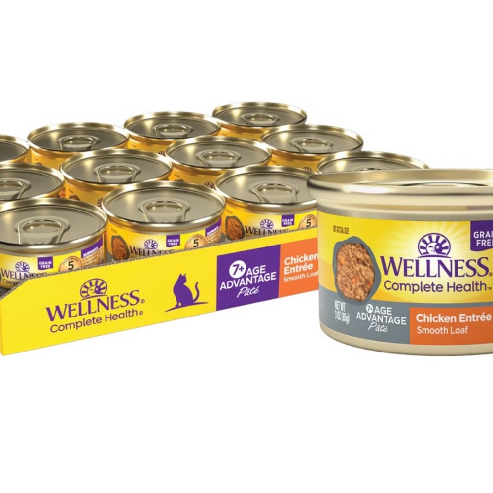 Wellness Complete Health Kitten Pate Chicken Wet Cat  Food 3oz can - Case of 24